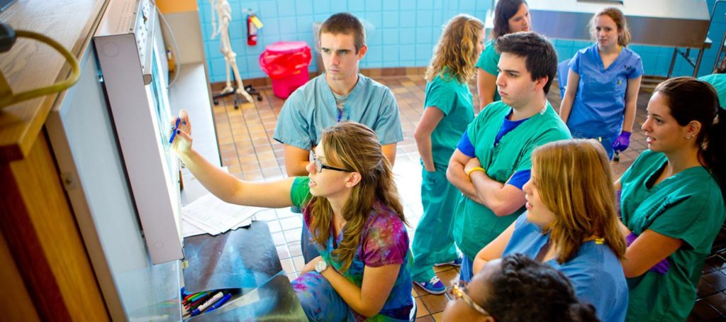 Students examining a scan