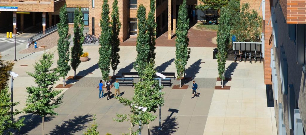Greiner Plaza