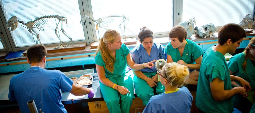 Gross Anatomy Lab