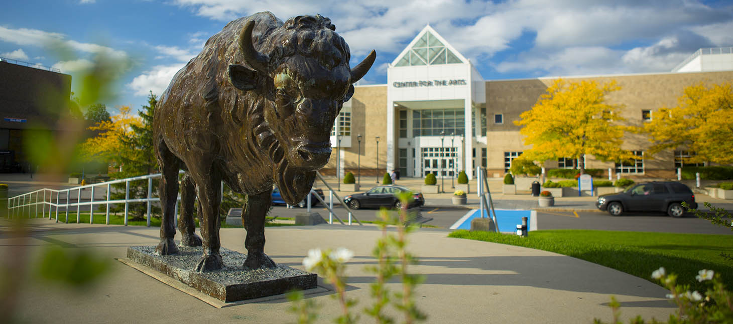 Bronze Buffalo Outside the Center for the Arts